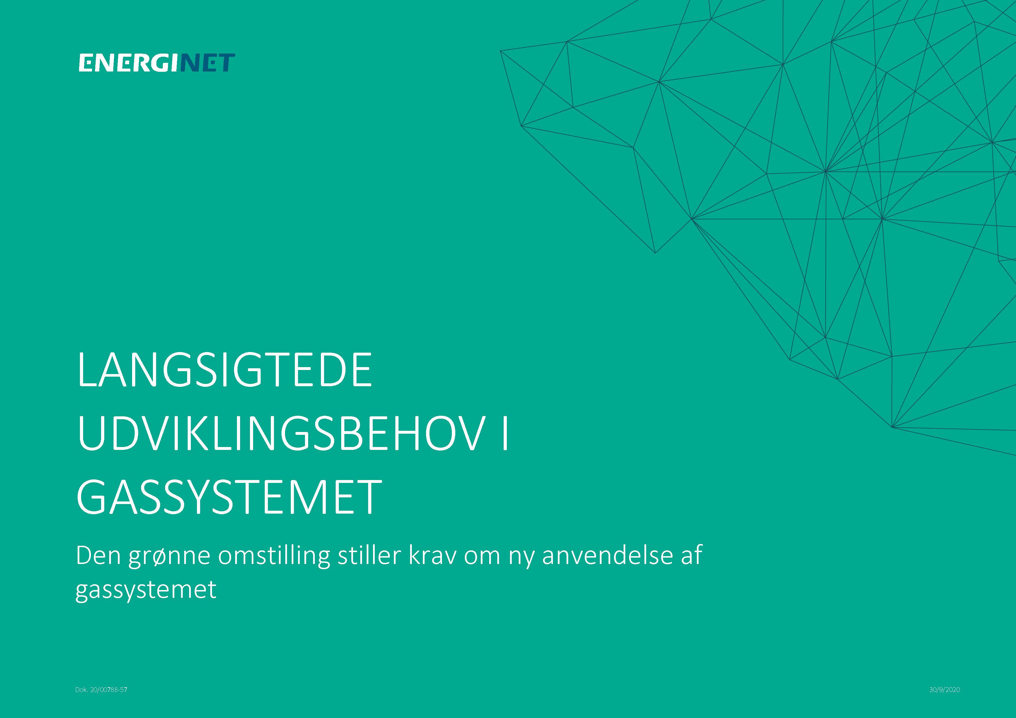 Langsigtede Udviklingsbehov I Gassystemet